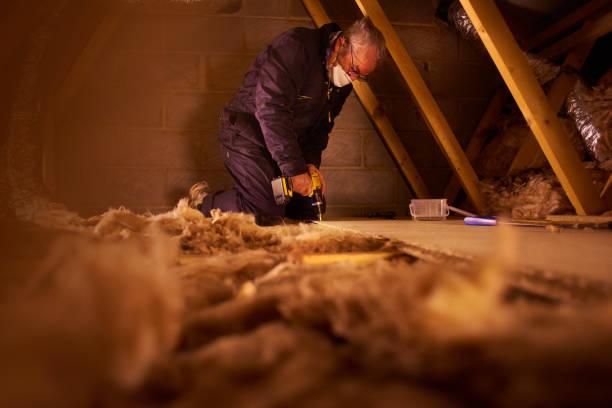 Best Batt and Roll Insulation  in Kurtistown, HI